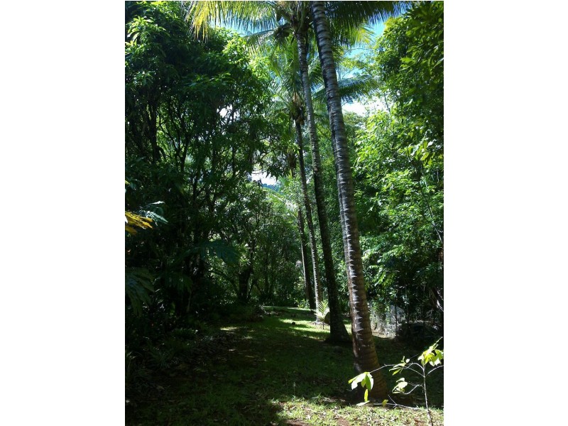 Lot 509 Silver Ash Road COW BAY, Daintree QLD 4873