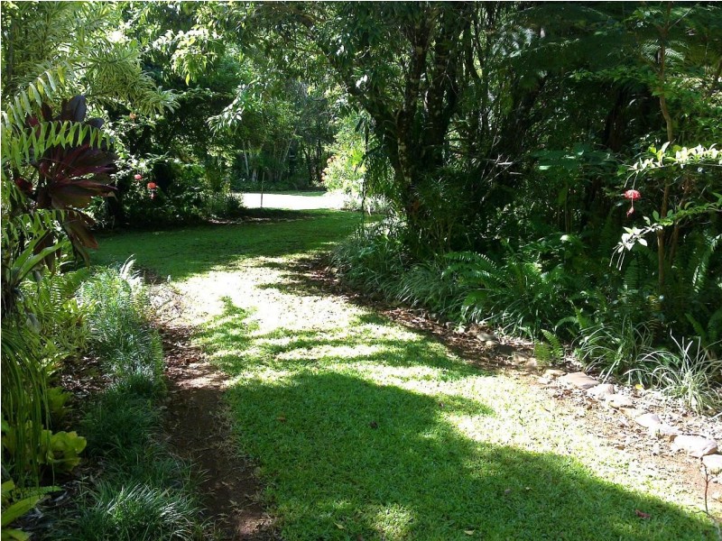 Lot 509 Silver Ash Road COW BAY, Daintree QLD 4873