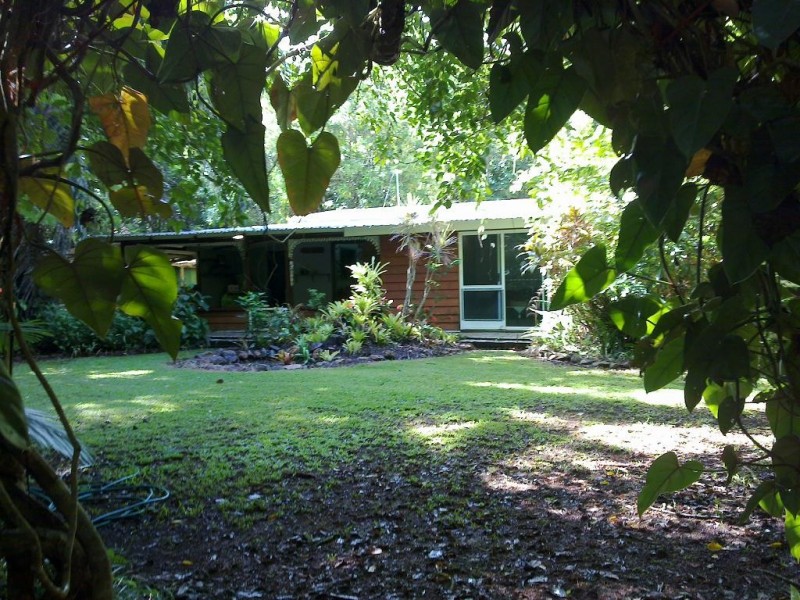 Lot 509 Silver Ash Road COW BAY, Daintree QLD 4873