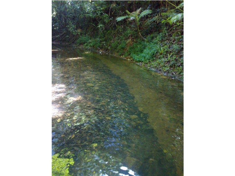 Lot 509 Silver Ash Road COW BAY, Daintree QLD 4873