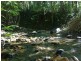 Lot 509 Silver Ash Road COW BAY, Daintree QLD 4873