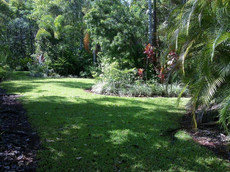 Lot 509 Silver Ash Road COW BAY, Daintree QLD 4873