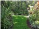 Lot 509 Silver Ash Road COW BAY, Daintree QLD 4873