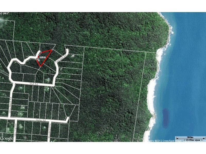 Lot 236 White Beech Road COW BAY, Daintree QLD 4873