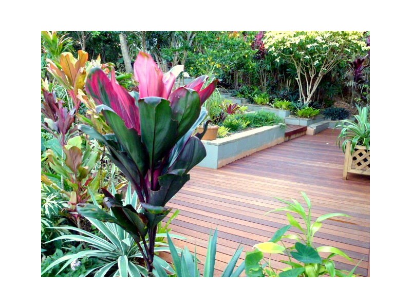 Lot 236 White Beech Road COW BAY, Daintree QLD 4873