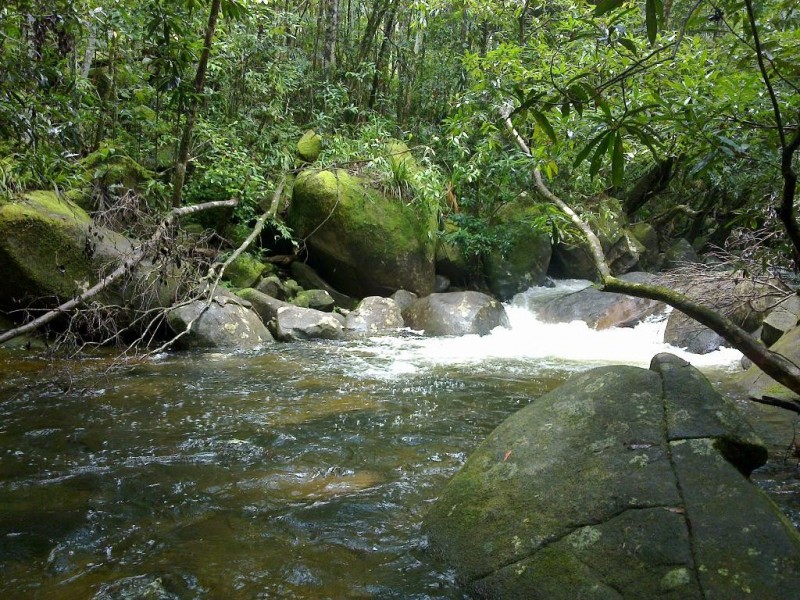 191 Stonewood Road DIWAN, Daintree QLD 4873