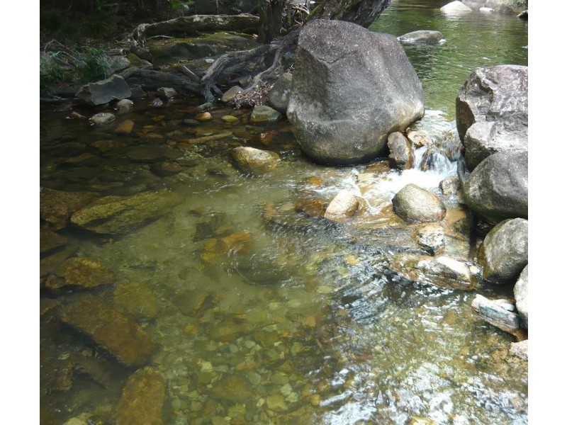 191 Stonewood Road DIWAN, Daintree QLD 4873