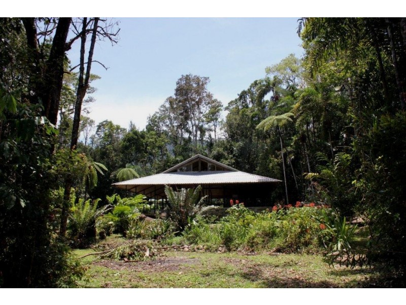 191 Stonewood Road DIWAN, Daintree QLD 4873