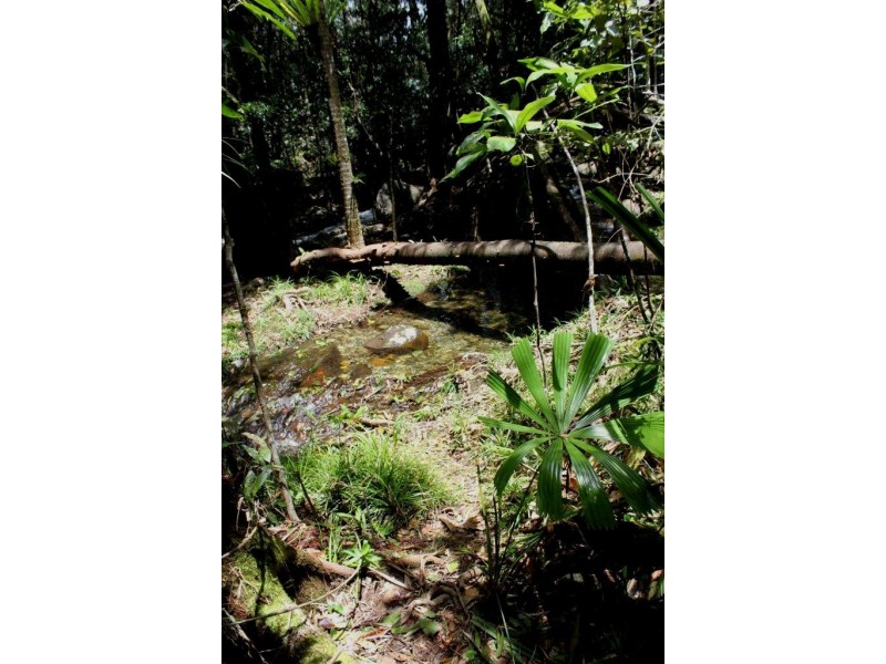 191 Stonewood Road DIWAN, Daintree QLD 4873