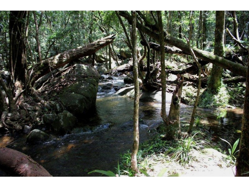 191 Stonewood Road DIWAN, Daintree QLD 4873