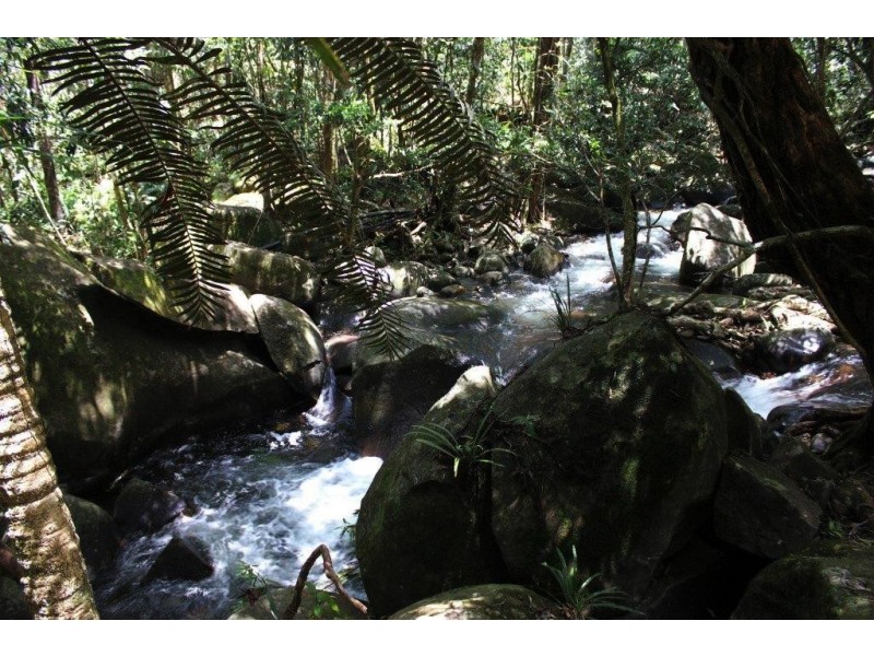 191 Stonewood Road DIWAN, Daintree QLD 4873