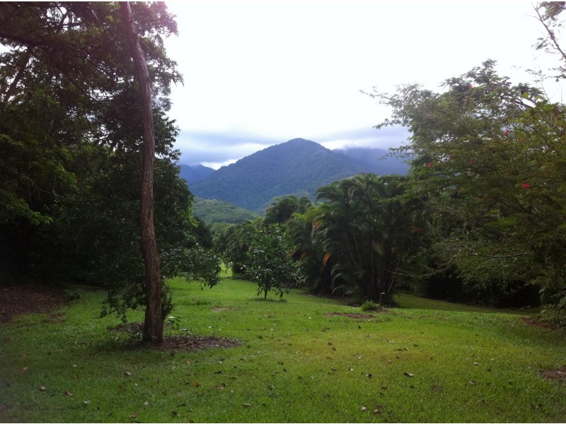 31 Mountain View Drive, Shannonvale QLD 4873
