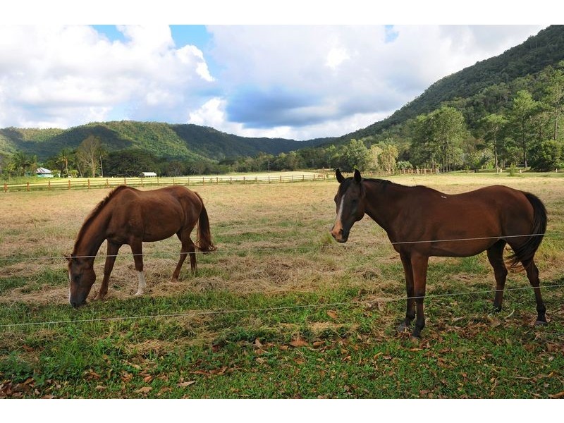 42 Mowbray River Rd, Mowbray QLD 4877