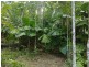 147 Wattle Close COW BAY, Daintree QLD 4873