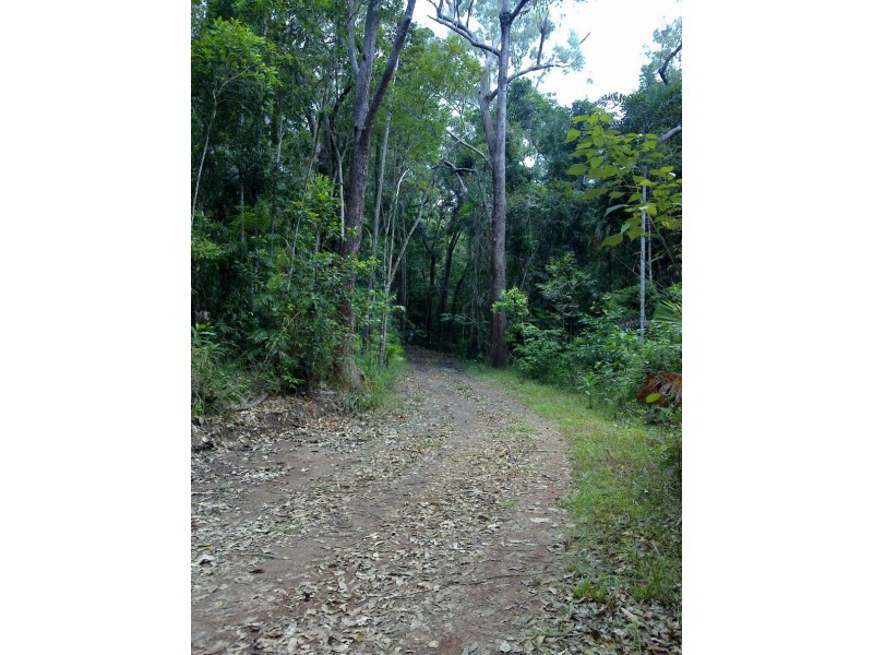 147 Wattle Close COW BAY, Daintree QLD 4873