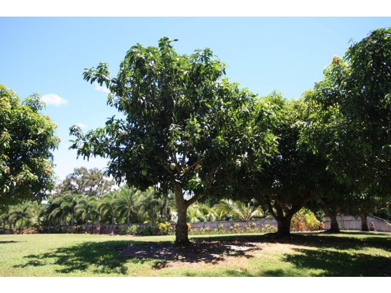 95-97 Southarm Drive, Wonga Beach QLD 4873