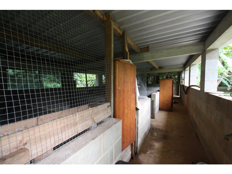 1466 Cape Tribulation Road COW BAY, Daintree QLD 4873