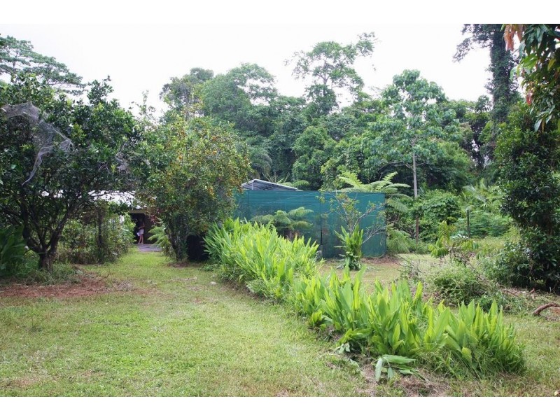 1466 Cape Tribulation Road COW BAY, Daintree QLD 4873