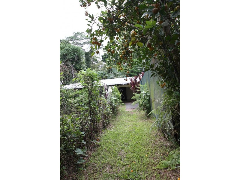 1466 Cape Tribulation Road COW BAY, Daintree QLD 4873