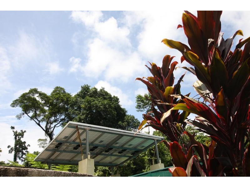 1466 Cape Tribulation Road COW BAY, Daintree QLD 4873