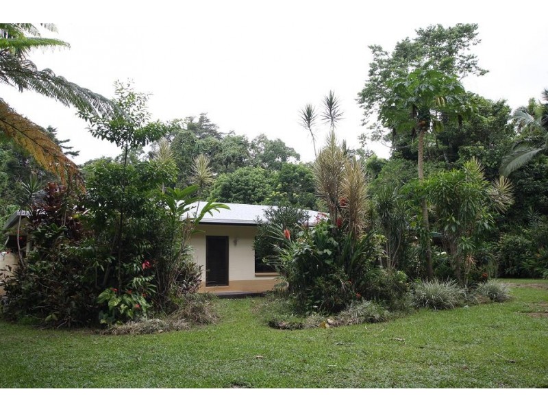 1466 Cape Tribulation Road COW BAY, Daintree QLD 4873