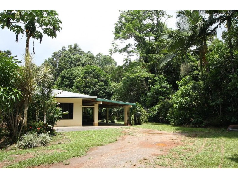 1466 Cape Tribulation Road COW BAY, Daintree QLD 4873
