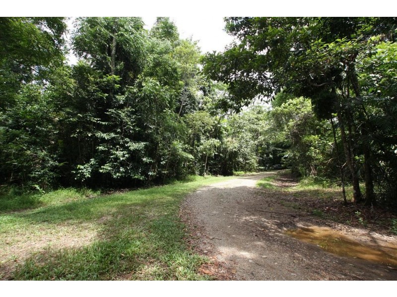 1466 Cape Tribulation Road COW BAY, Daintree QLD 4873