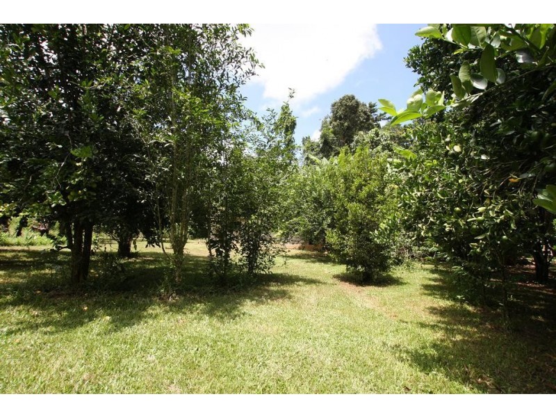 1466 Cape Tribulation Road COW BAY, Daintree QLD 4873