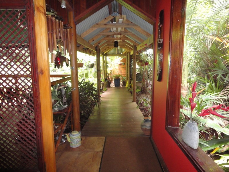 336 Cape Tribulation Road COW BAY, Daintree QLD 4873