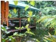 336 Cape Tribulation Road COW BAY, Daintree QLD 4873