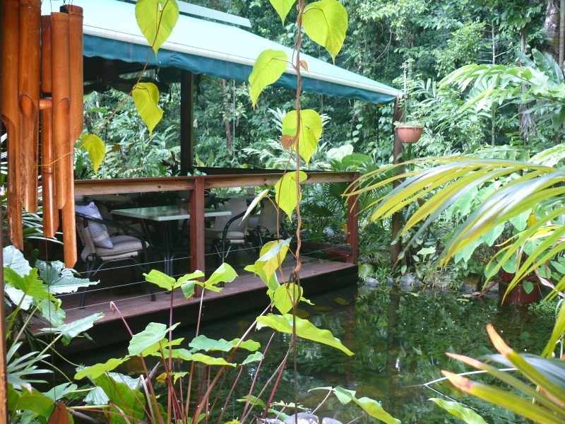 336 Cape Tribulation Road COW BAY, Daintree QLD 4873