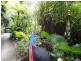 336 Cape Tribulation Road COW BAY, Daintree QLD 4873