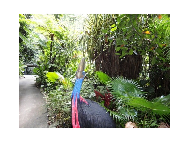 336 Cape Tribulation Road COW BAY, Daintree QLD 4873