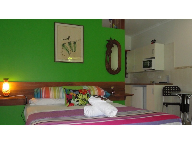 336 Cape Tribulation Road COW BAY, Daintree QLD 4873