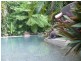 336 Cape Tribulation Road COW BAY, Daintree QLD 4873