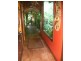 336 Cape Tribulation Road COW BAY, Daintree QLD 4873