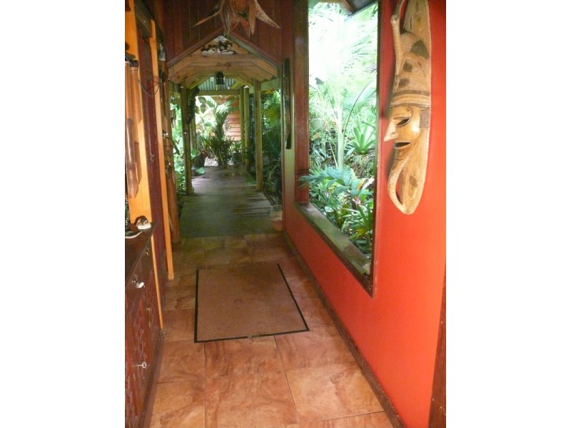 336 Cape Tribulation Road COW BAY, Daintree QLD 4873