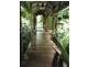 336 Cape Tribulation Road COW BAY, Daintree QLD 4873