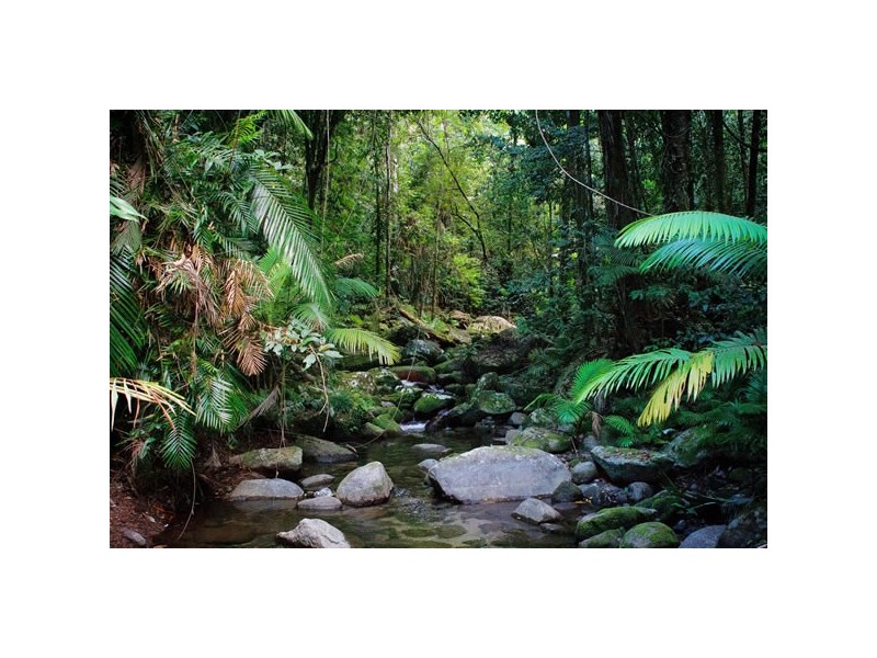 Lot 287 Spoonbill Close, Mossman QLD 4873