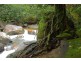 190 Stonewood Road DIWAN, Daintree QLD 4873