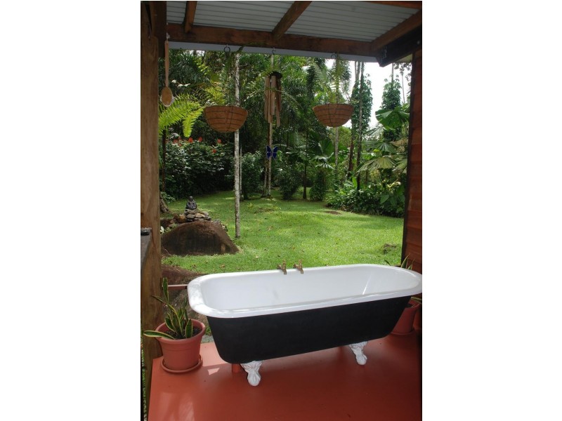 190 Stonewood Road DIWAN, Daintree QLD 4873