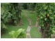 190 Stonewood Road DIWAN, Daintree QLD 4873