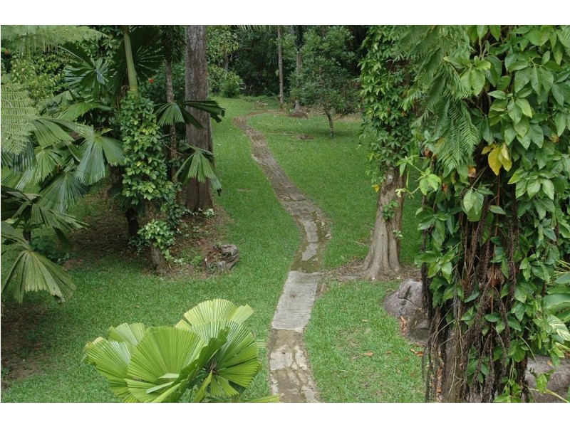190 Stonewood Road DIWAN, Daintree QLD 4873