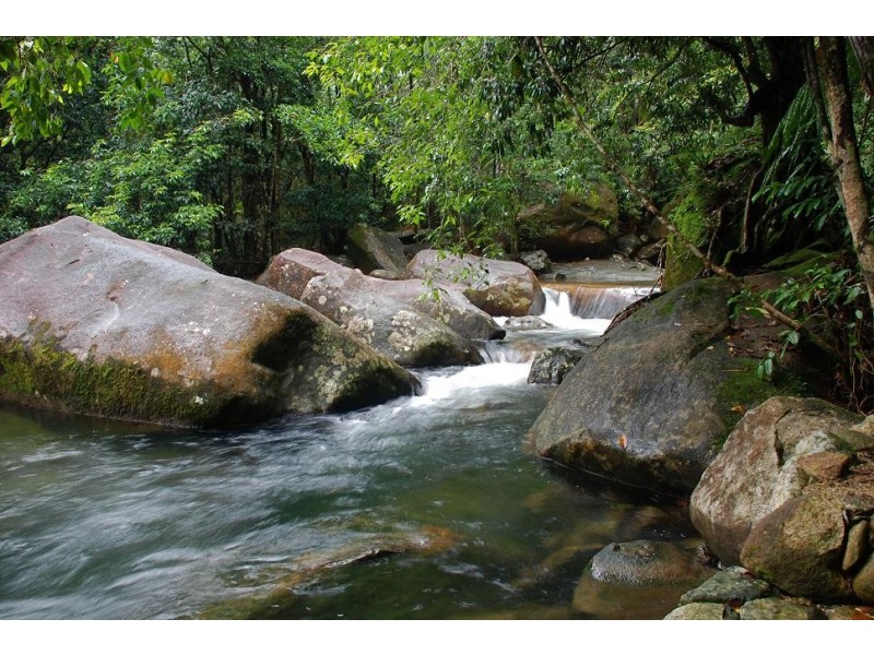 190 Stonewood Road DIWAN, Daintree QLD 4873