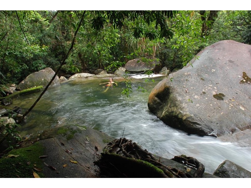 190 Stonewood Road DIWAN, Daintree QLD 4873