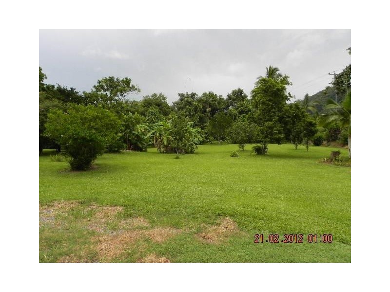 2824 Mossman Daintree Road, Daintree QLD 4873