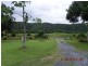 2824 Mossman Daintree Road, Daintree QLD 4873