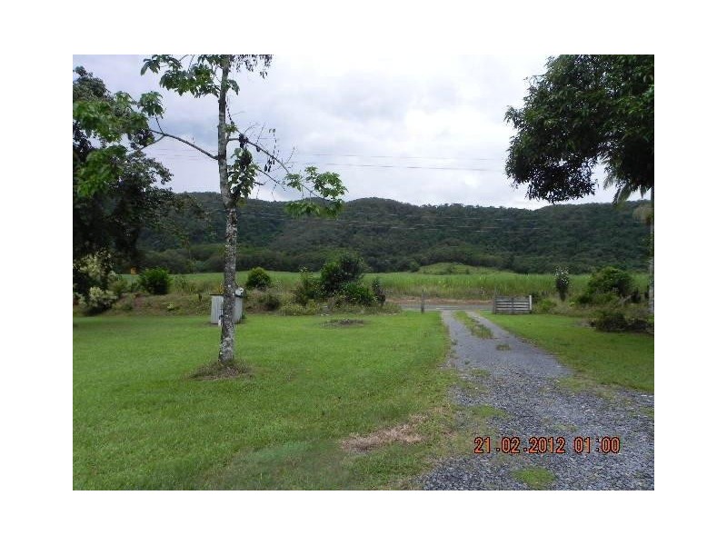 2824 Mossman Daintree Road, Daintree QLD 4873