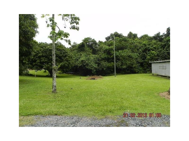 2824 Mossman Daintree Road, Daintree QLD 4873