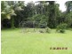 2824 Mossman Daintree Road, Daintree QLD 4873